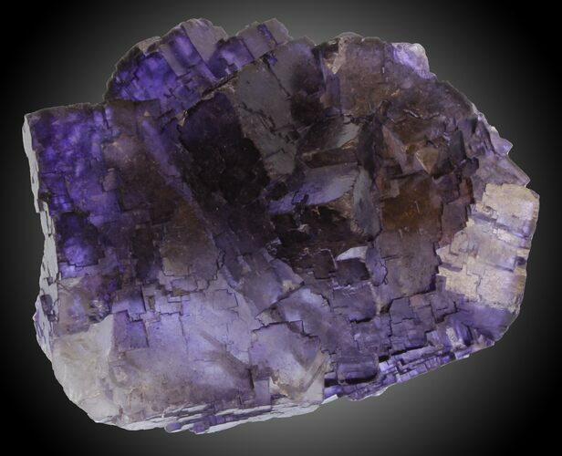 Deep Purple Fluorite Crystals - Múzquiz, Mexico #30391